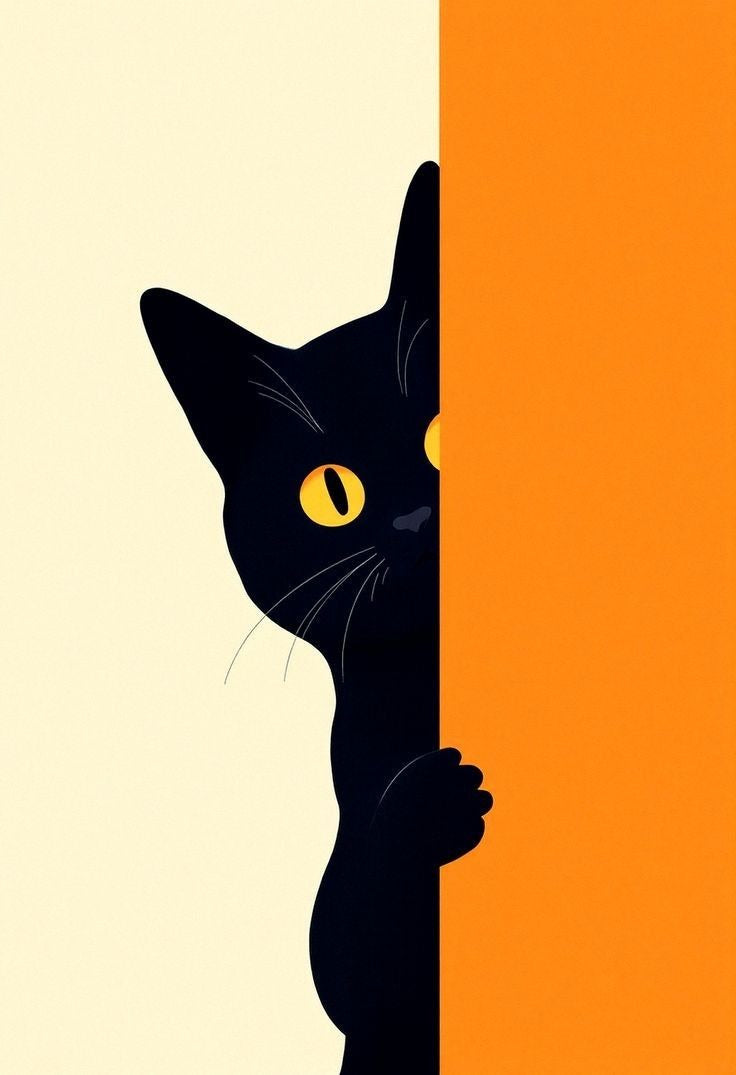 Whimsy – Curious Shadow